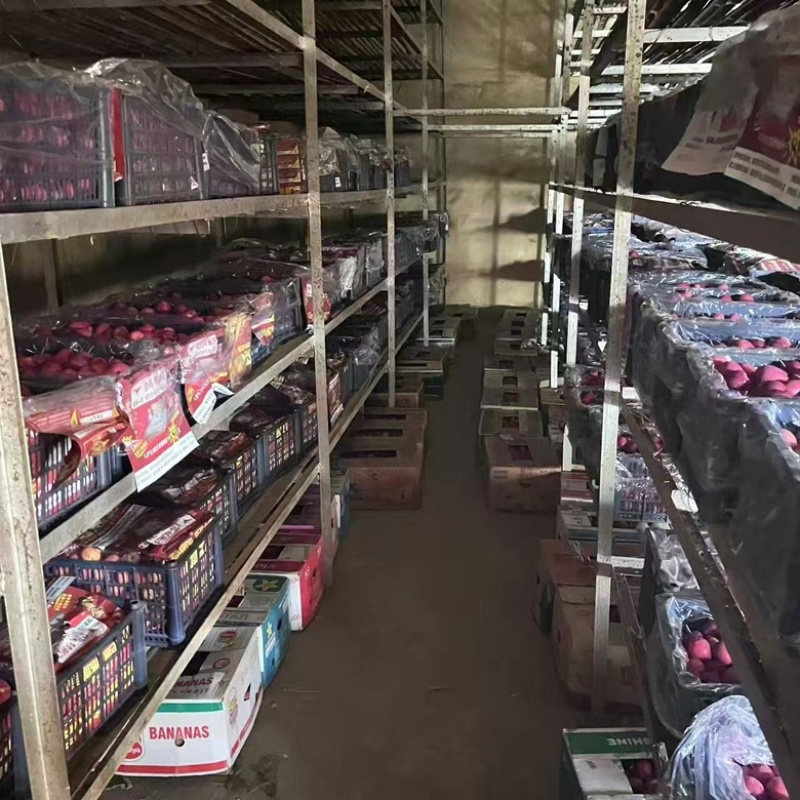 锦绣海棠大量供应新鲜采摘内蒙古产地直发货源充足