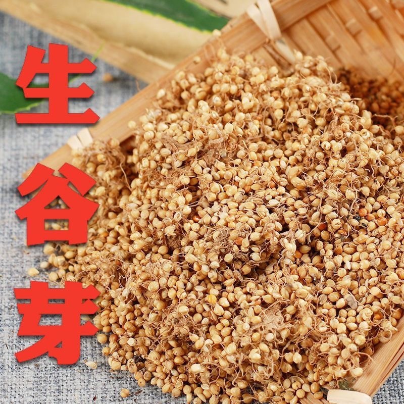 谷芽生谷芽炒谷芽规格齐全对接大货中药材批发