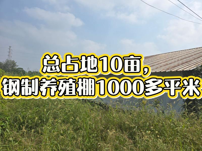 养殖场转让