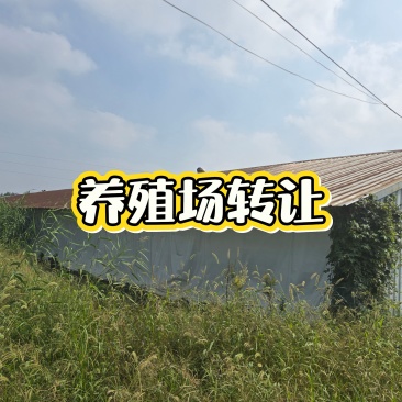 养殖场转让