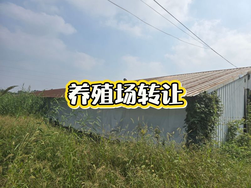 养殖场转让