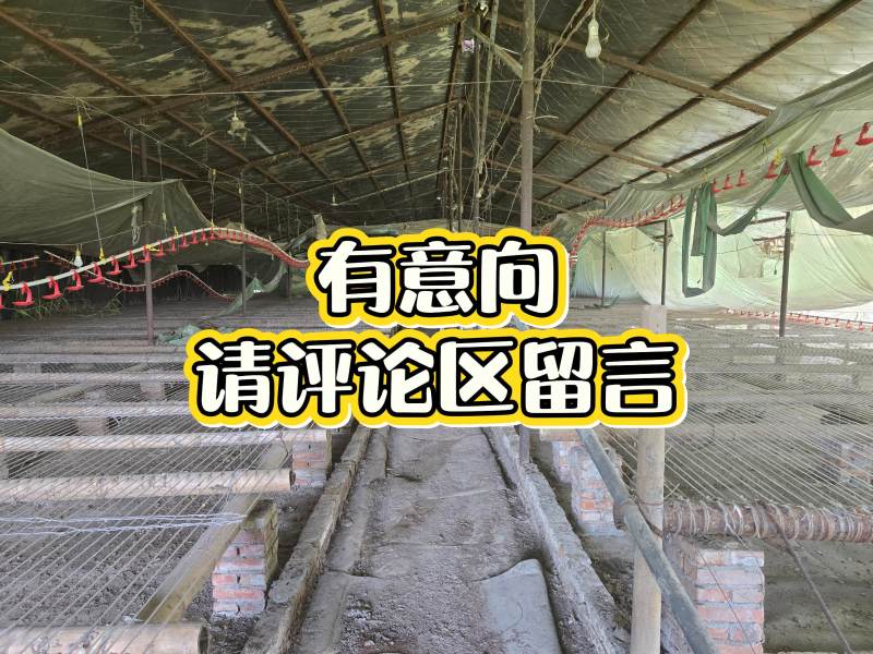 养殖场转让