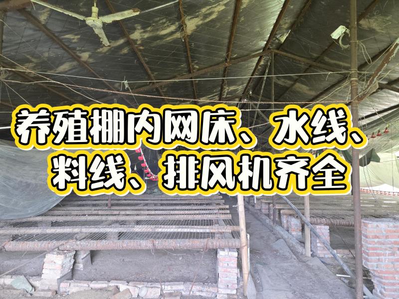 养殖场转让