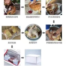 黑龙江大笨鸡
