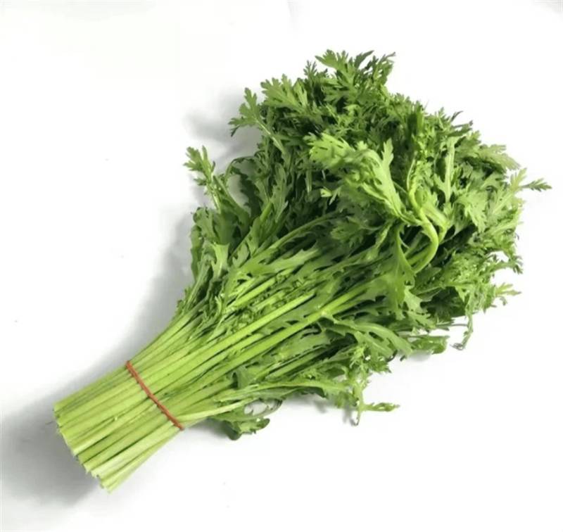 大量供应精品茼蒿，超高茼蒿