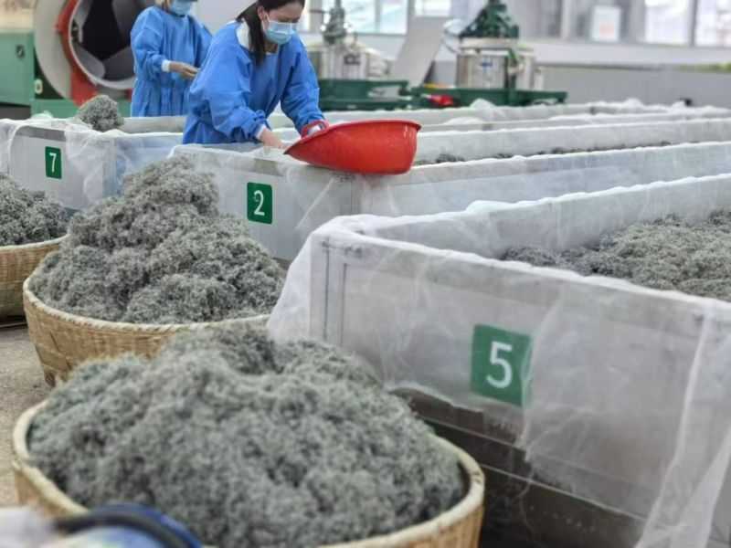 恩施来凤藤茶