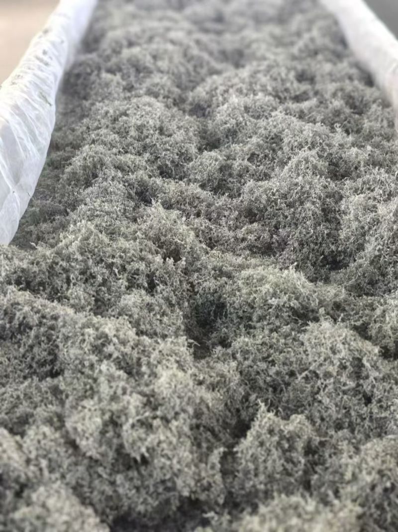 恩施来凤藤茶