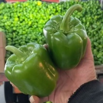 青椒