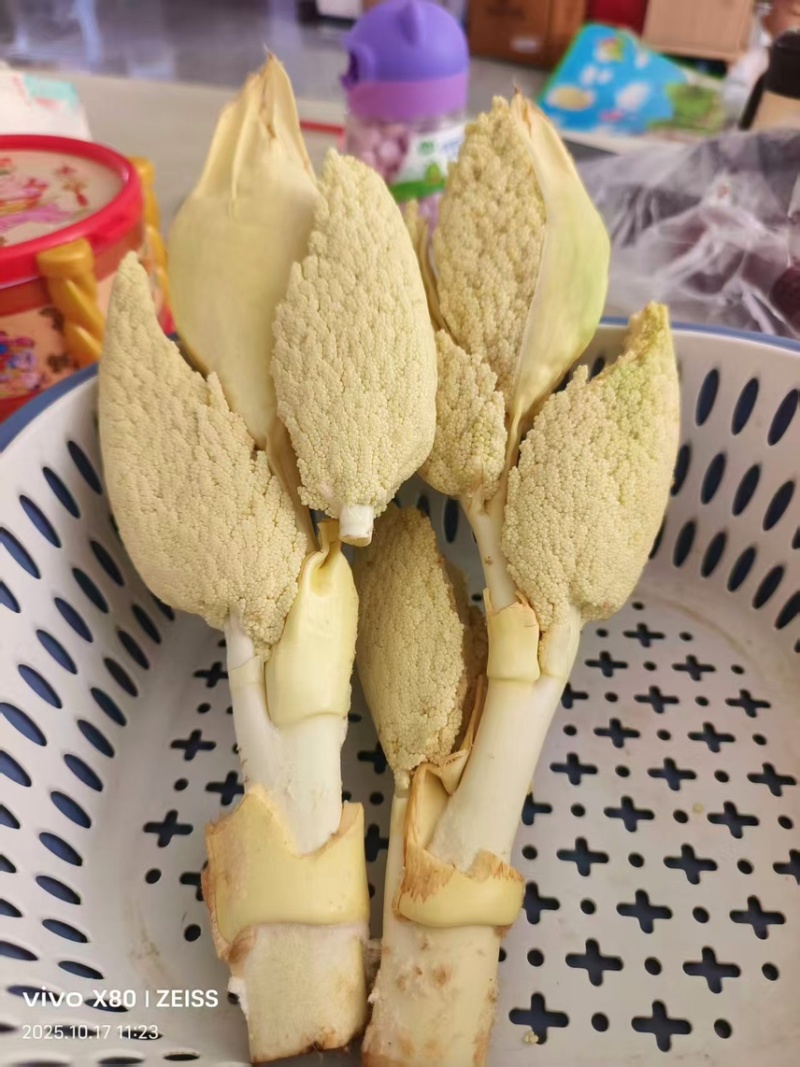 棕苞，棕树花·棕笋·棕包·稳定大量供应
