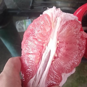 正宗平和三红蜜柚