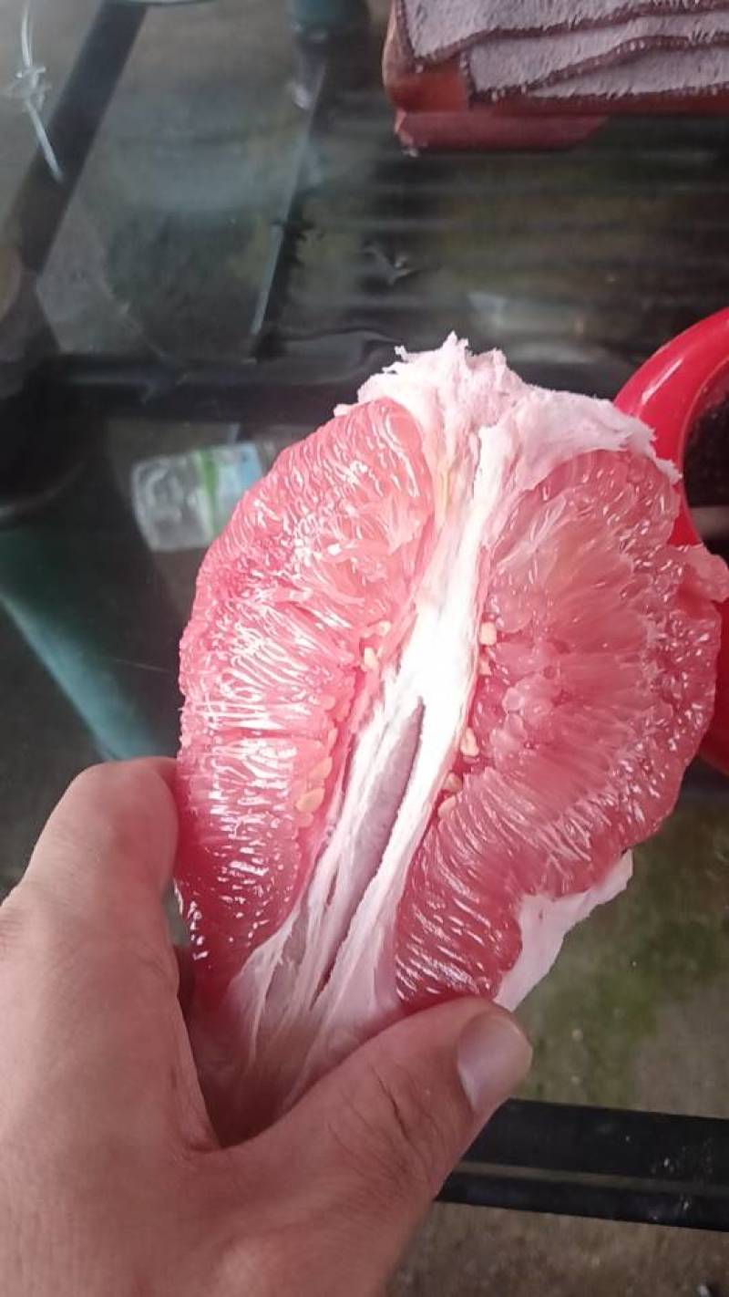 正宗平和三红蜜柚