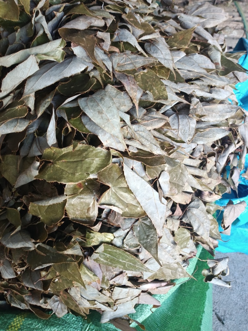 小根淫羊雚