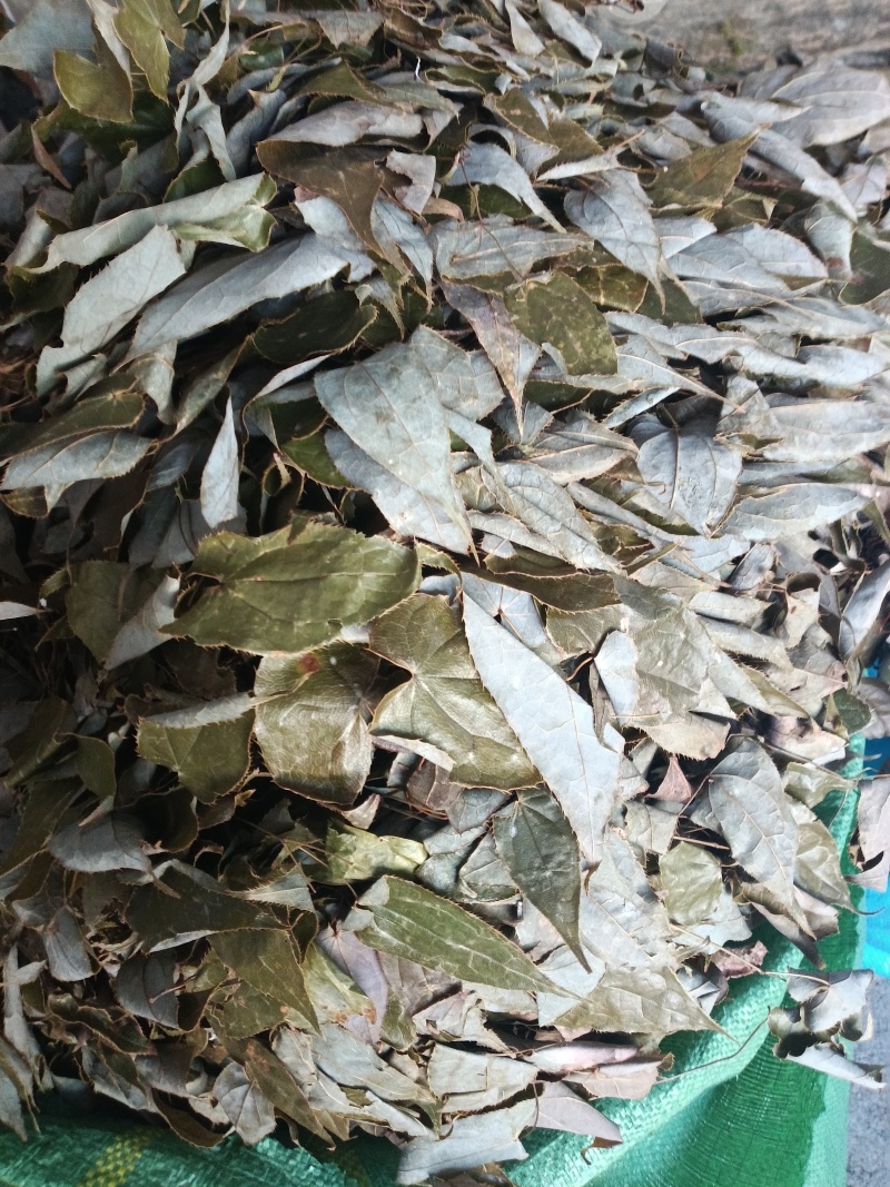 小根淫羊雚