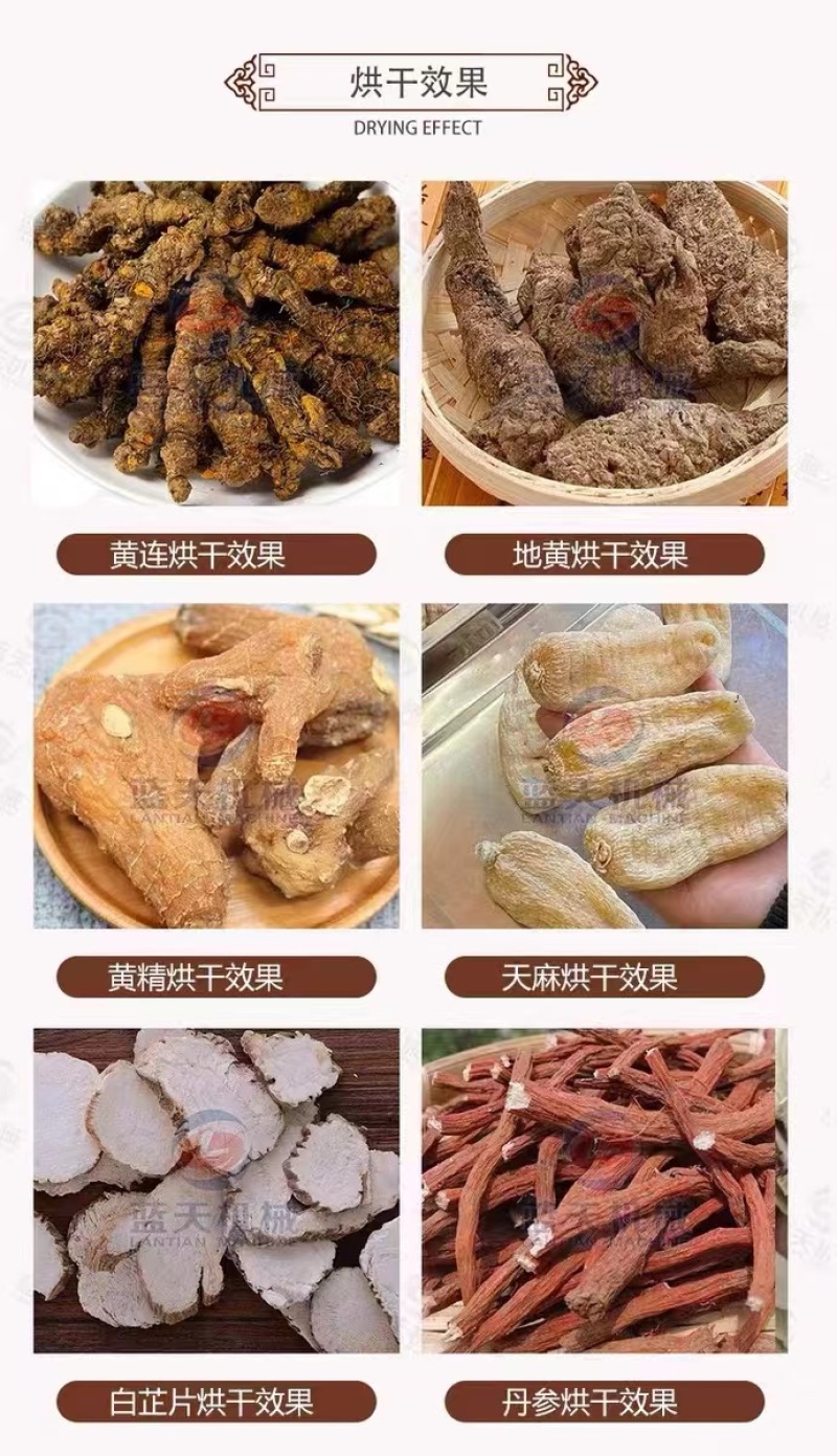 天麻烘干机中药材天麻清洗烘干设备天麻个云南小天麻烘烤设备