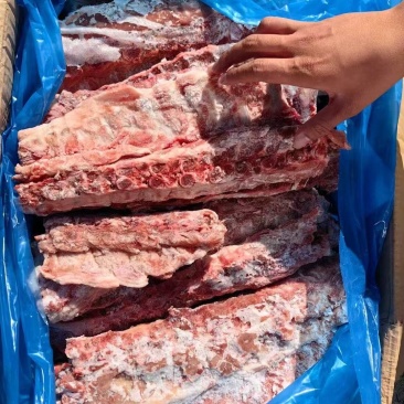 多肉猪脊骨