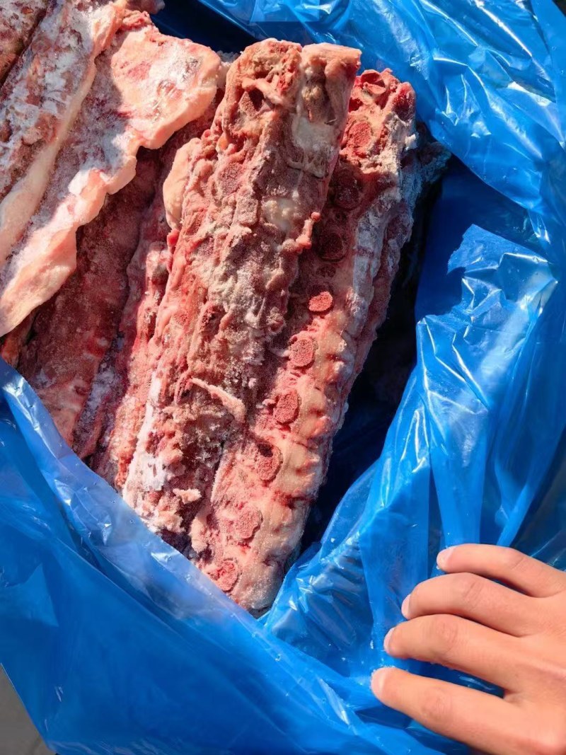 多肉猪脊骨