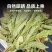 人参叶无硫质量保证诚信经营假一赔十