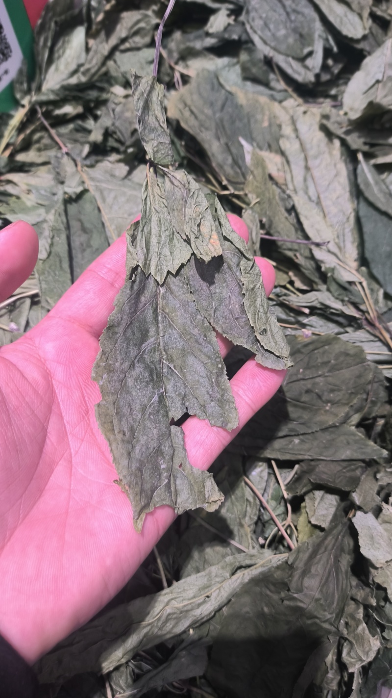 人参叶无硫质量保证诚信经营假一赔十