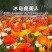 冰岛虞美人秋季播种，厂家批发，价格美丽花海打造