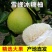 冰糖柚子/小苦柚/雪峰柚/安江柚/麻麻柚/小香柚货源充足
