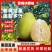 冰糖柚子/小苦柚/雪峰柚/安江柚/麻麻柚/小香柚货源充足