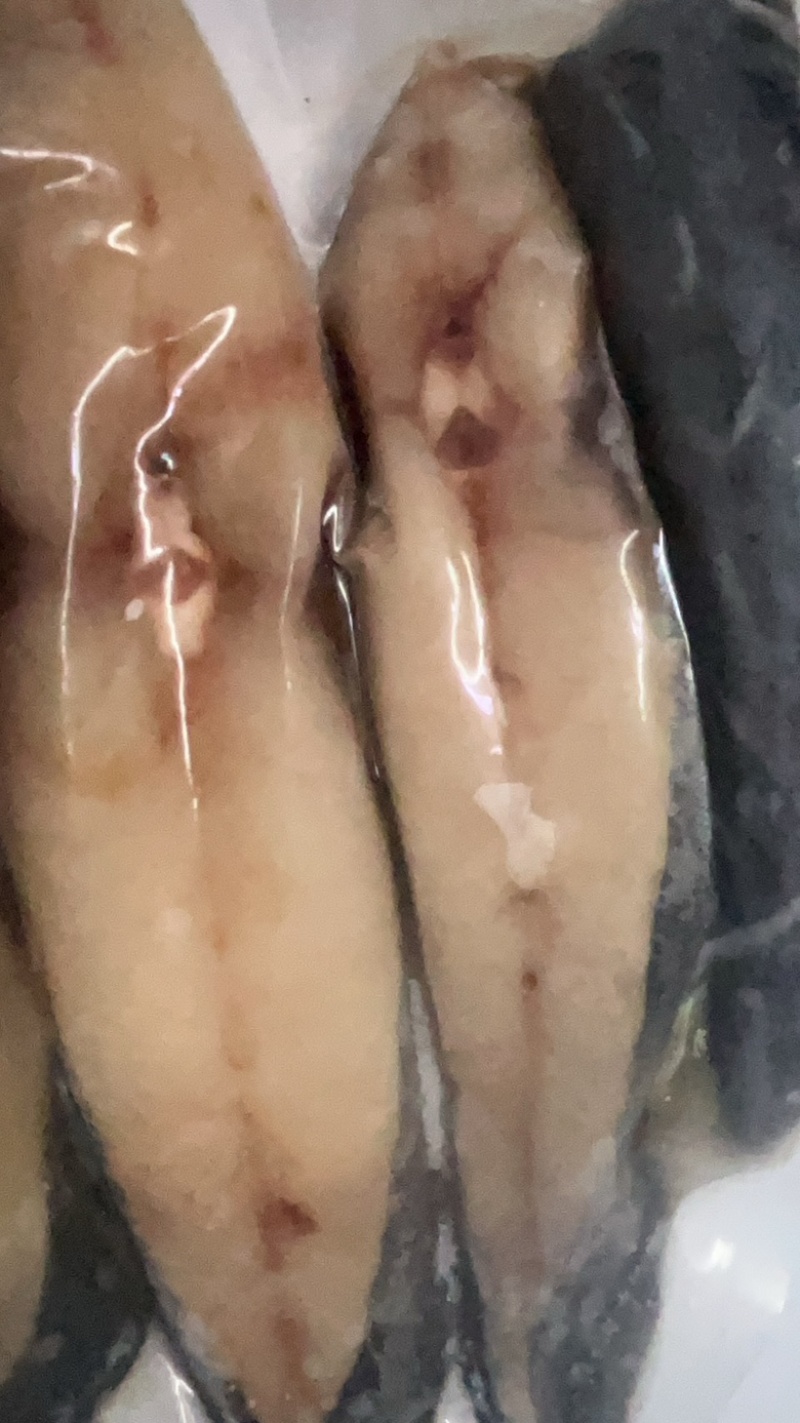 马鲛独立包装一斤一包，库存166有2662大量4333加，