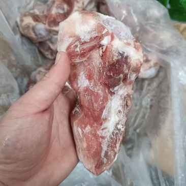 国产前棒骨