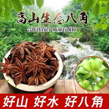 包邮）八角大料250克香料调料另售小茴香桂皮
