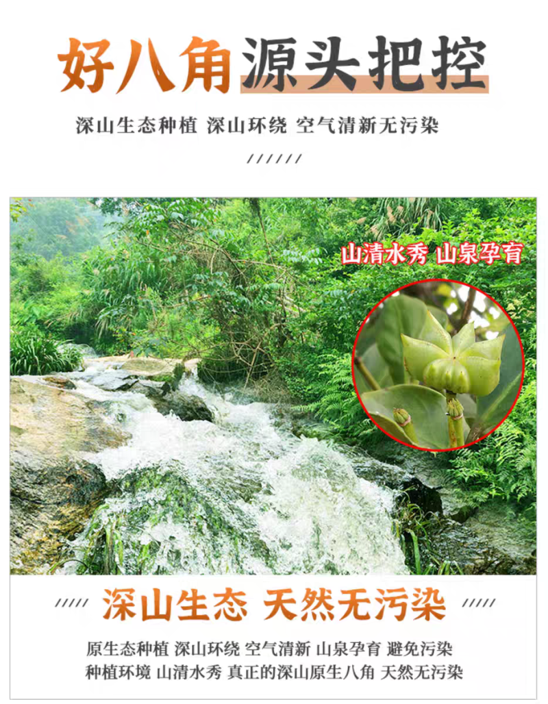 包邮）八角大料250克香料调料另售小茴香桂皮