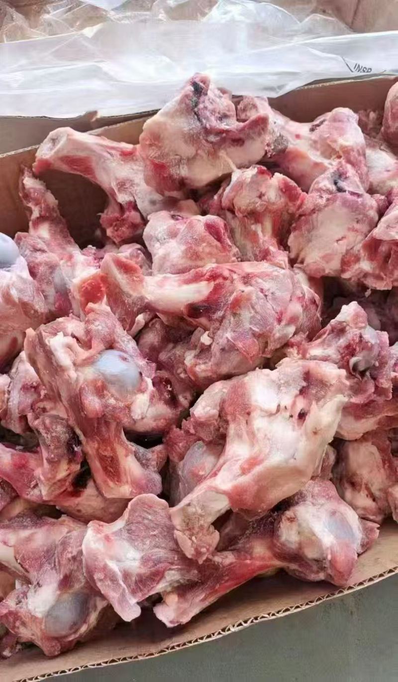多肉大头棒骨