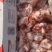多肉大头棒骨