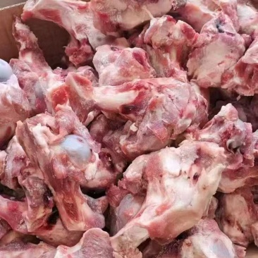 多肉大头棒骨