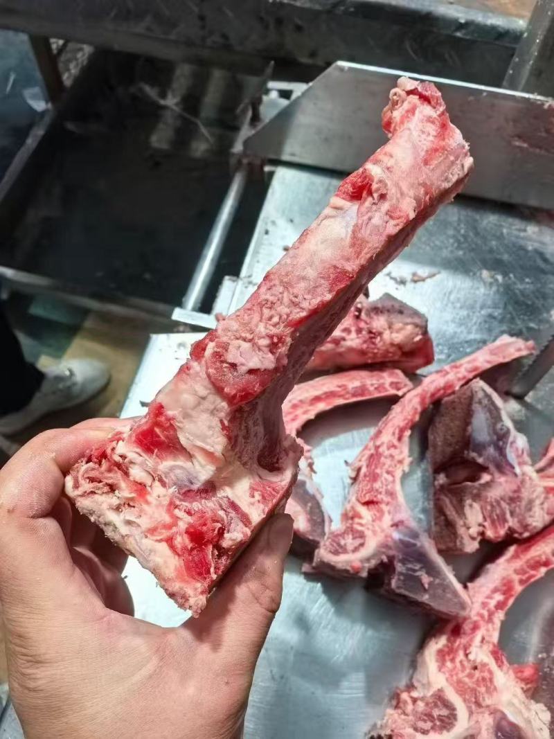 肋眼骨