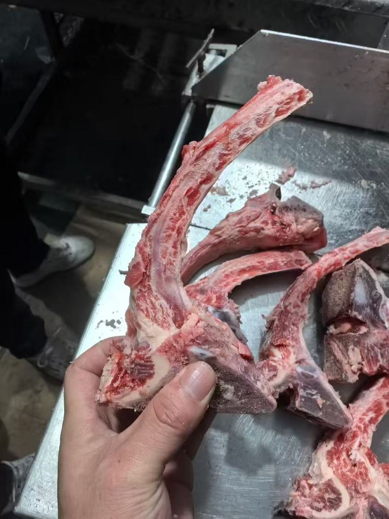 肋眼骨