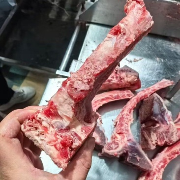 肋眼骨