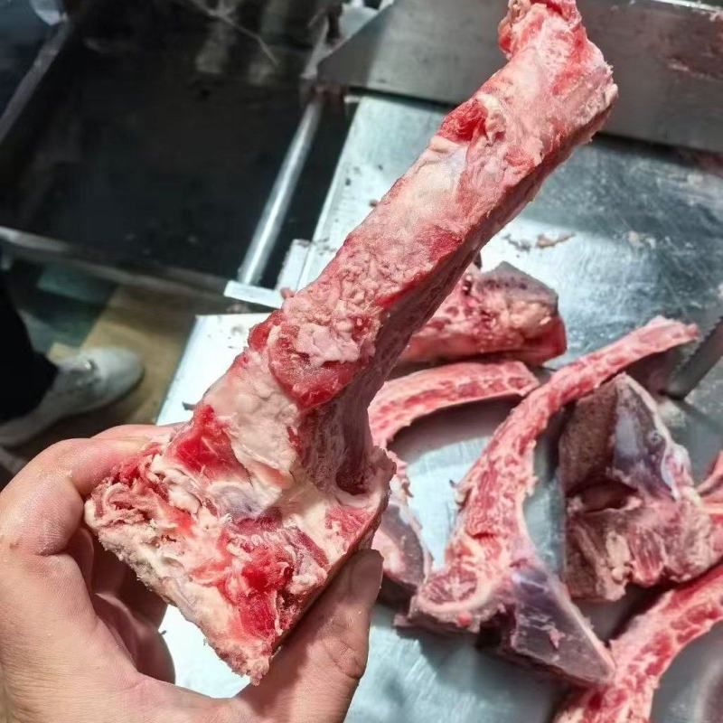 肋眼骨