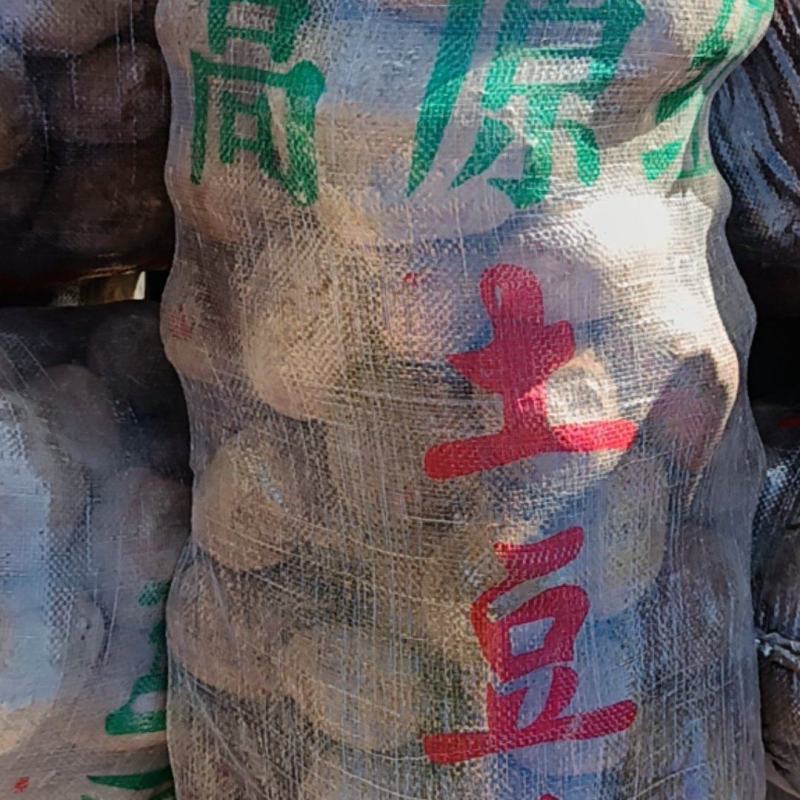 青薯9号