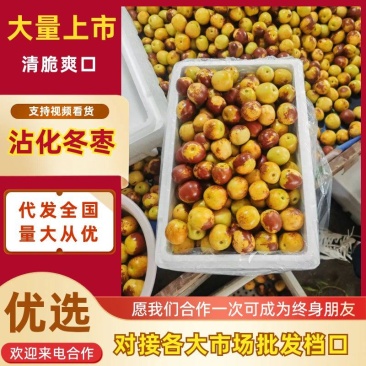 大棚沾化冬枣市场档口商超生鲜超市供货