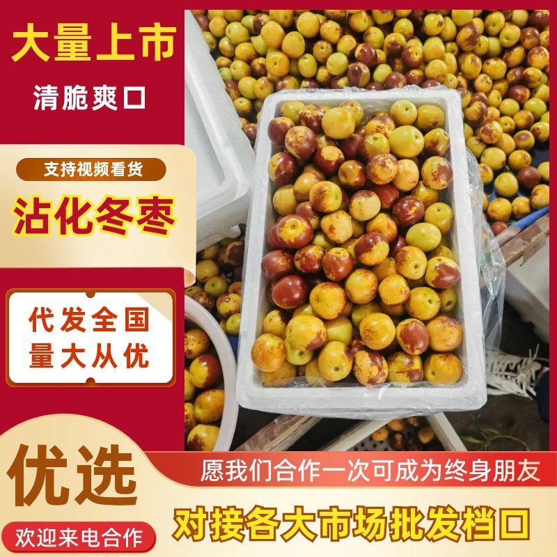 大棚沾化冬枣市场档口商超生鲜超市供货