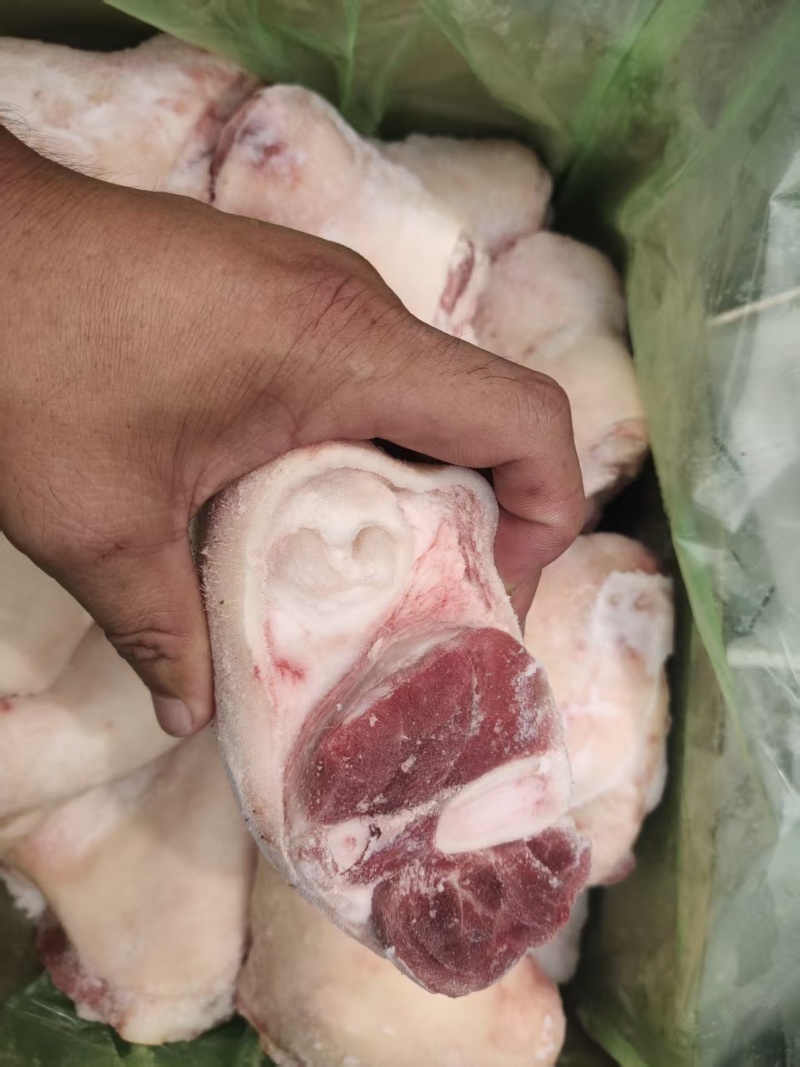 小肘子