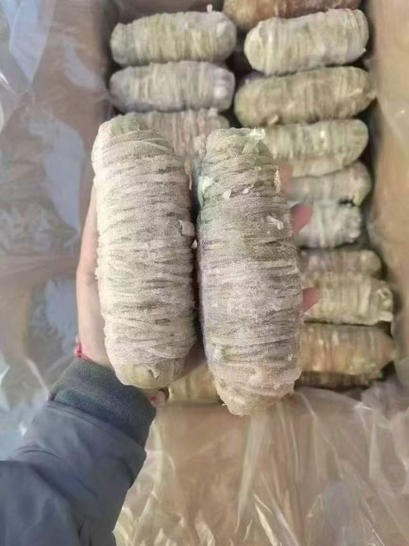 苦肠，小肠卷，一件20斤，大小规格都有，一件也是批发价