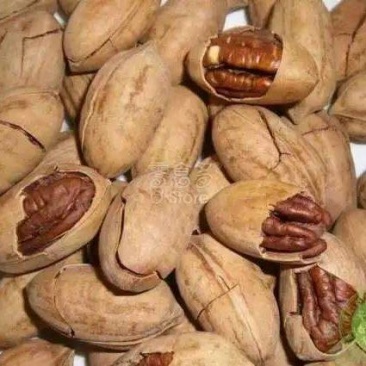 碧根果，，库存充足，果果精品，电商一件代发。