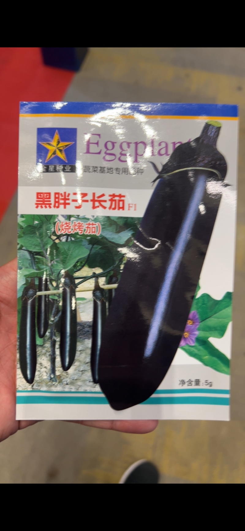 黑胖子长茄子种子烧烤茄蔬菜基地高产用黑茄子种子中早