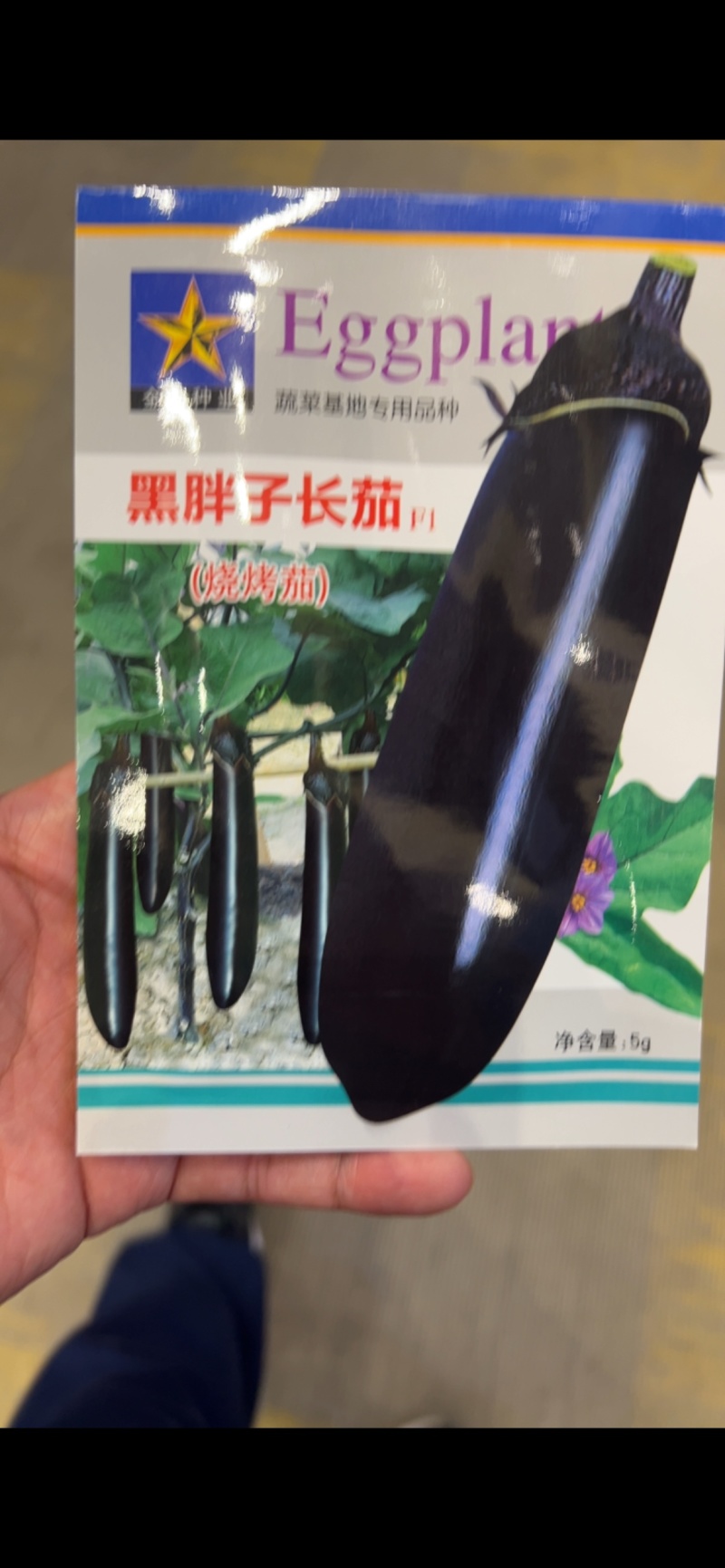 黑胖子长茄子种子烧烤茄蔬菜基地高产用黑茄子种子中早