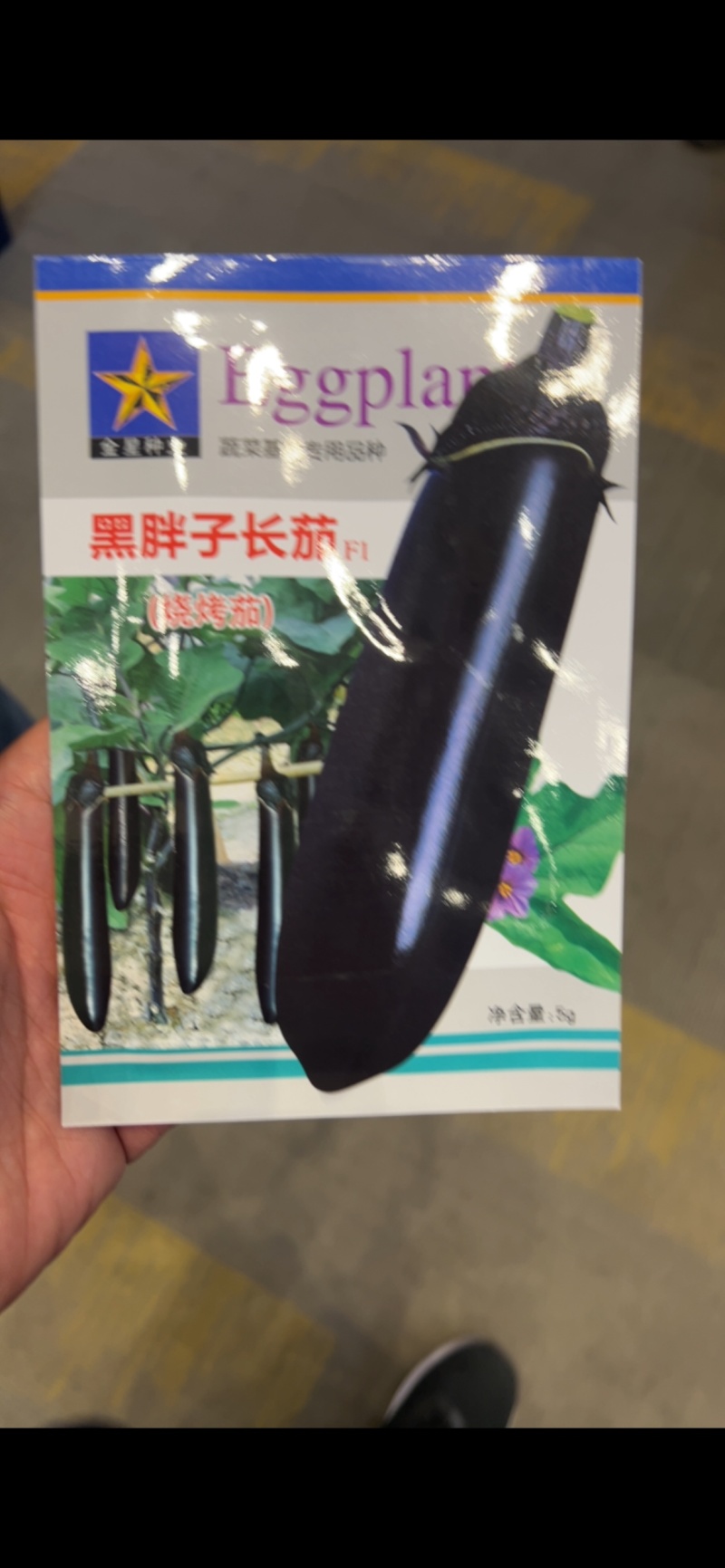 黑胖子长茄子种子烧烤茄蔬菜基地高产用黑茄子种子中早