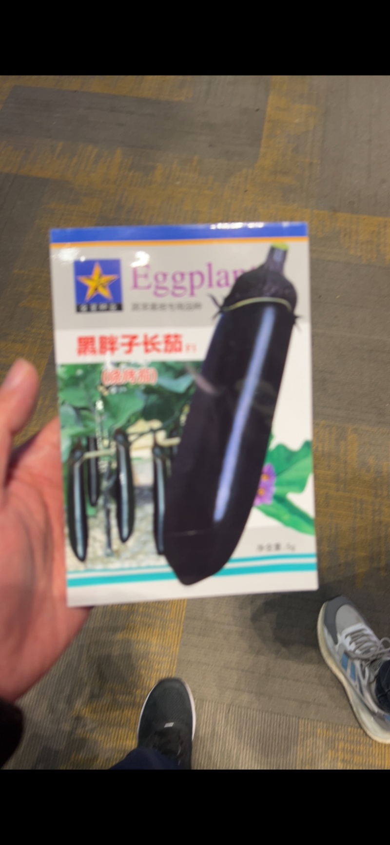 黑胖子长茄子种子烧烤茄蔬菜基地高产用黑茄子种子中早