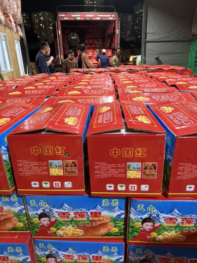 雪莲果专业生鲜水果外贸出口头等好货源头基地4680亩