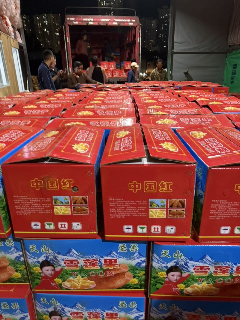 雪莲果专业生鲜水果外贸出口头等好货源头基地4680亩