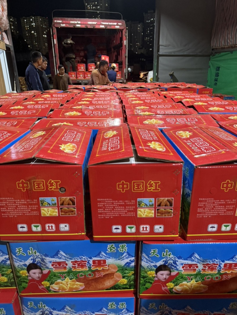 雪莲果专业生鲜水果外贸出口头等好货源头基地4680亩
