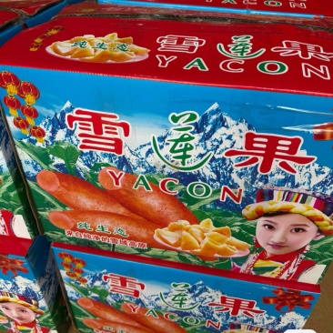 雪莲果专业生鲜水果外贸出口头等好货源头基地4680亩